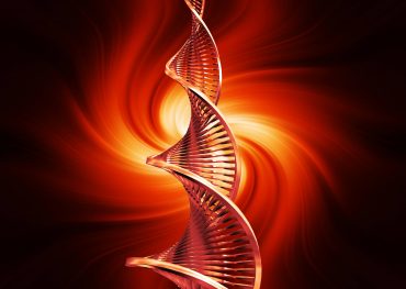 DNA